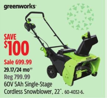 Canadian Tire Greenworks 60v 5ah single-stage cordless snowblower, 22" offer