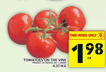 Food Basics Tomatoes on the vine offer