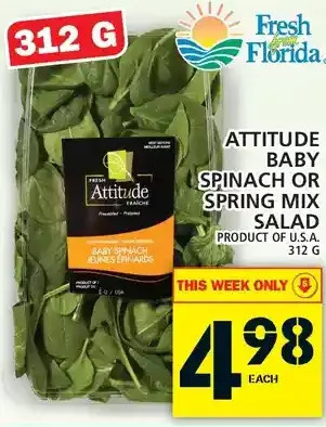 Food Basics Attitude baby spinach or spring mix salad offer