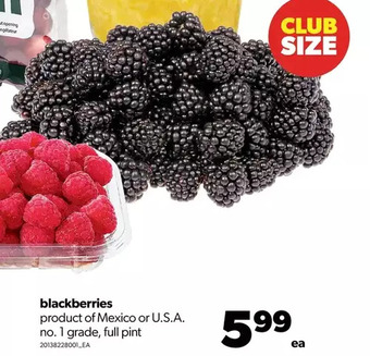 Real Canadian Superstore Blackberries offer