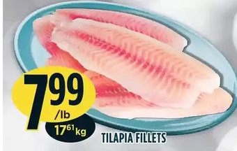 Marché Adonis Tilapia fillets offer