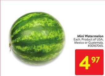Walmart Mini watermelon offer
