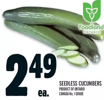 Metro Seedless cucumbers offer