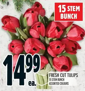 Metro Fresh cut tulips offer