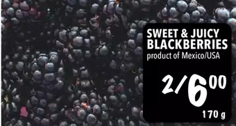 Farm Boy Sweet & juicy blackberries offer