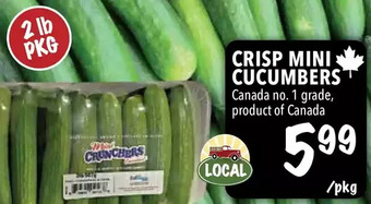 Farm Boy Crisp mini cucumbers offer