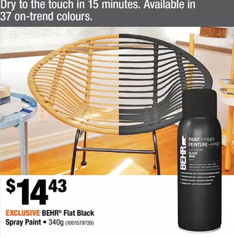 Home Depot Behr flat black spray paint offer