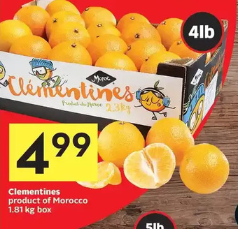 Foodland Clementines offer