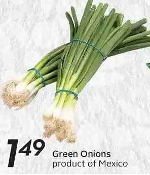 Sobeys Green onions offer