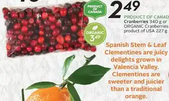 Sobeys Cranberries or organic cranberries offer