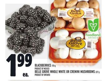 Metro Blackberries offer