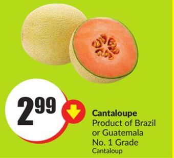 Chalo FreshCo Cantaloupe product of brazil or guatemala no. 1 grade offer