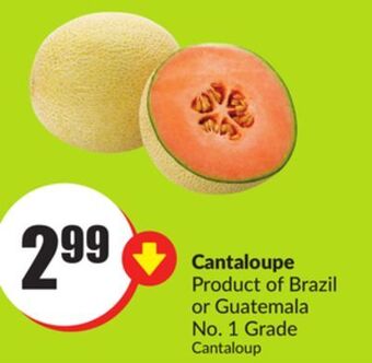 FreshCo Cantaloupe product of brazil or guatemala no 1 grade offer