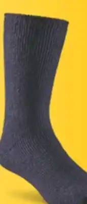 Mark's Windriver men's all regular priced t max socks offer