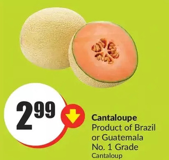FreshCo Cantaloupe offer
