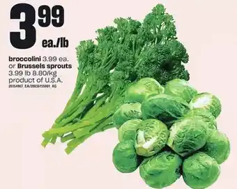 Loblaws Broccoli or brussels sprouts offer