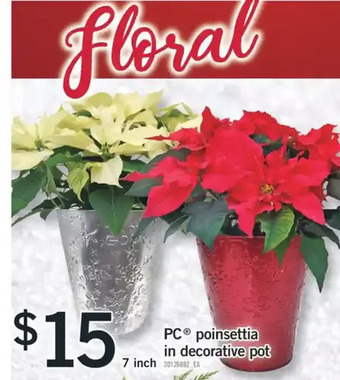 Fortinos Pc poinsettia in decorative pot offer