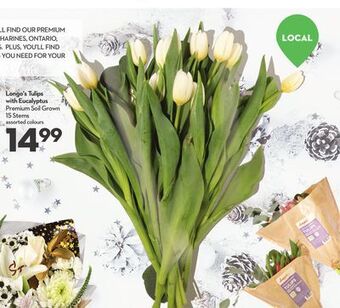 Longo's Longo's tulips offer