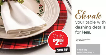 Kitchen Stuff Plus Everyday charger plate offer