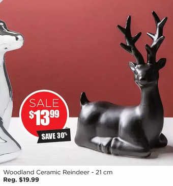 Kitchen Stuff Plus Woodland ceramic reindeer offer