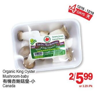 T&T Supermarket Organic king oyster mushroom-baby offer