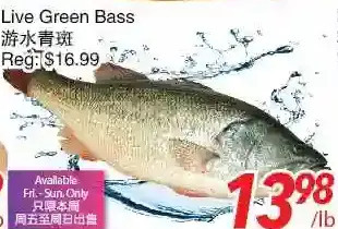 Foody World Live green bass offer