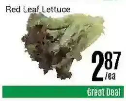 Nations Fresh Foods Red leaf lettuce offer