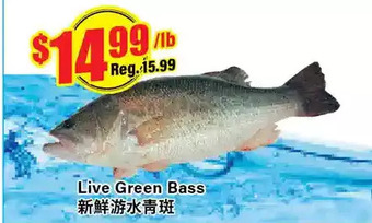 Btrust Supermarket Live green bass offer