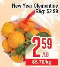 New year clementine