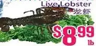 Grant's Foodmart Live lobster offer