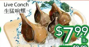 Ample Food Market Live conch offer