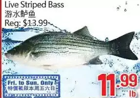 Hong Tai Supermarket Live striped bass offer