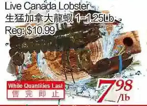Tone Tai Supermarket Live canada lobster offer