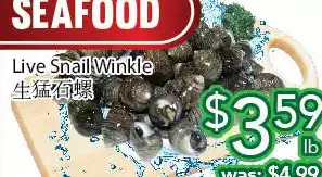 Ample Food Market Live snail winkle offer