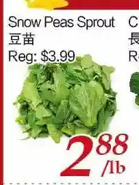 Tone Tai Supermarket Snow peas sprout offer