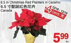 T&T Supermarket 6.5 in christmas red planters in ceramic offer