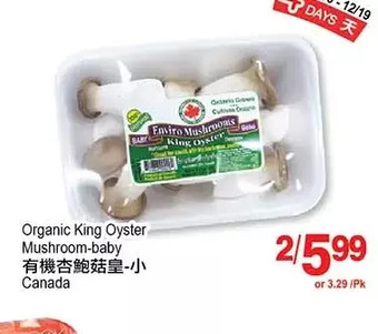 T&T Supermarket Organic king oyster mushroom-baby offer