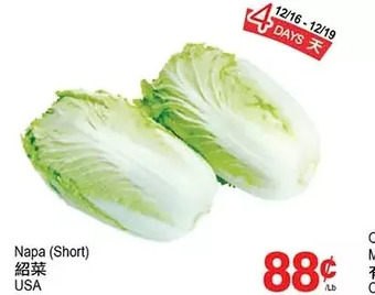 T&T Supermarket Napa (short) offer