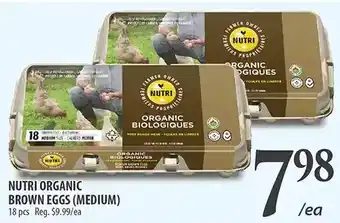 Al Premium Food Mart Nutri organic brown eggs (medium) offer
