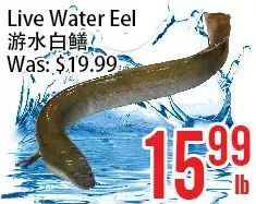 Bestco Food Mart Live water eel offer