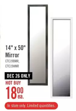 The Brick 14" x 50" mirror offer