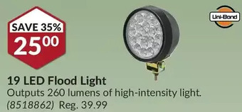 Princess Auto Uni-bond 19 led flood light offer