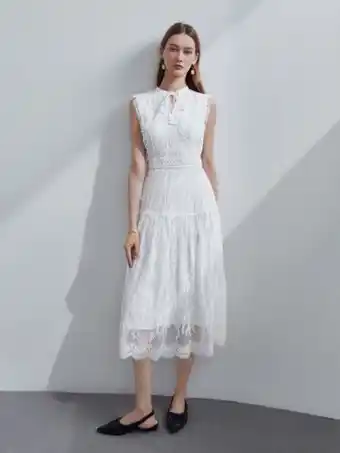 SheIn Motf premium lace tie-neck lined dress offer