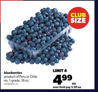 Real Canadian Superstore Blueberries, 18 oz offer