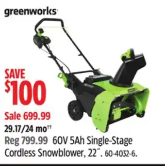 Canadian Tire Greenworks 60v 5ah single-stage cordless snowblower, 22" offer