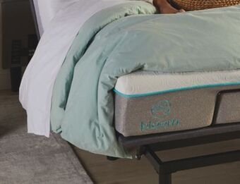 Sleep Country Bloom 2.0 air mattress-in-a-box offer