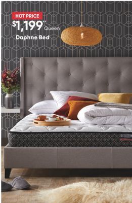 Sleep Country Daphne bed offer