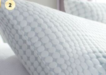 Sleep Country Bio-soy pillow offer