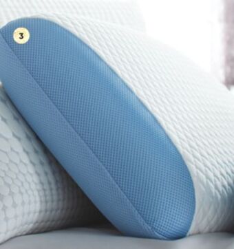 Sleep Country Polar tropic pillow offer