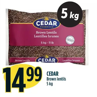 Marché Adonis Cedar brown lentils offer